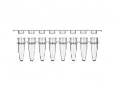 PakGent 0,2ml PCR 8-Strip Tubes